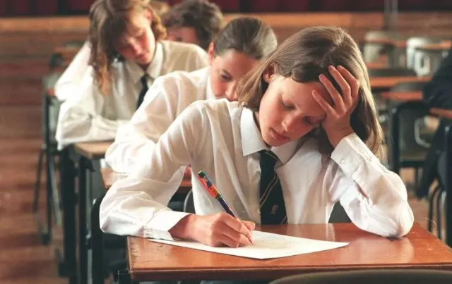 children’s math question baffles thousands on social media 11331