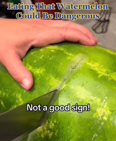 expert warns to throw away your watermelon if it does this one thing. 11342