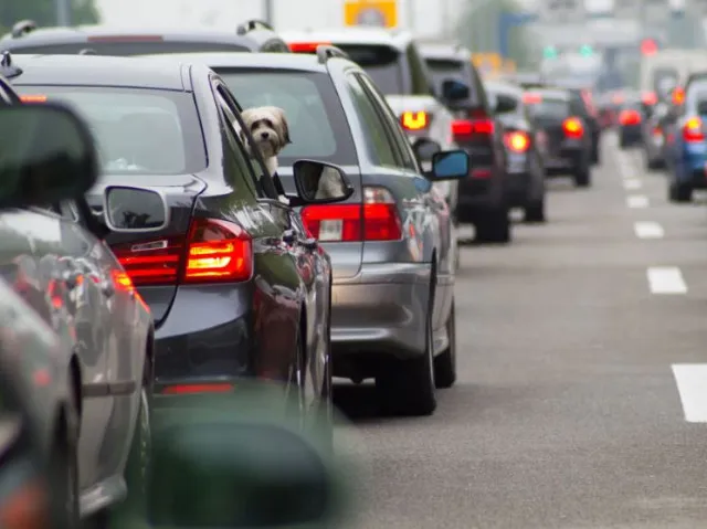 people find the best way to pee in a motorway traffic jam 11391