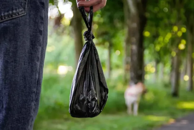 vet warns people against flushing pets poo down toilet for alarming reason 11395
