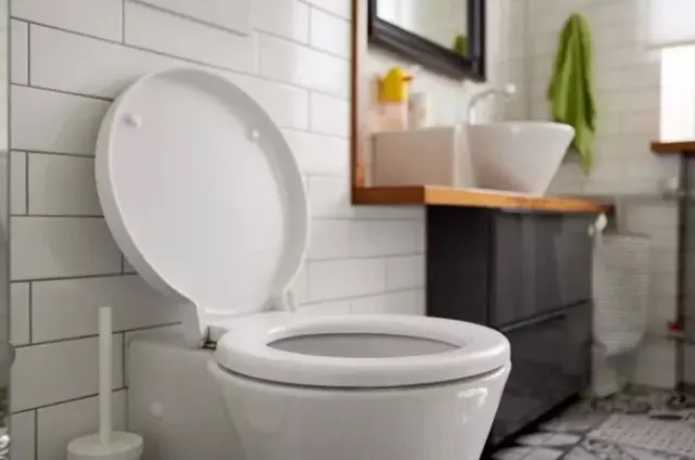 vet warns people against flushing pets poo down toilet for alarming reason 11393