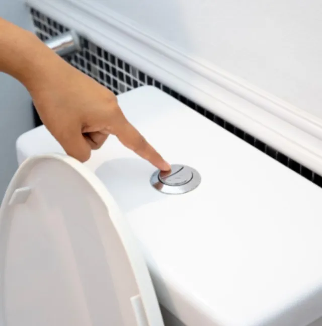 vet warns people against flushing pets poo down toilet for alarming reason 11394