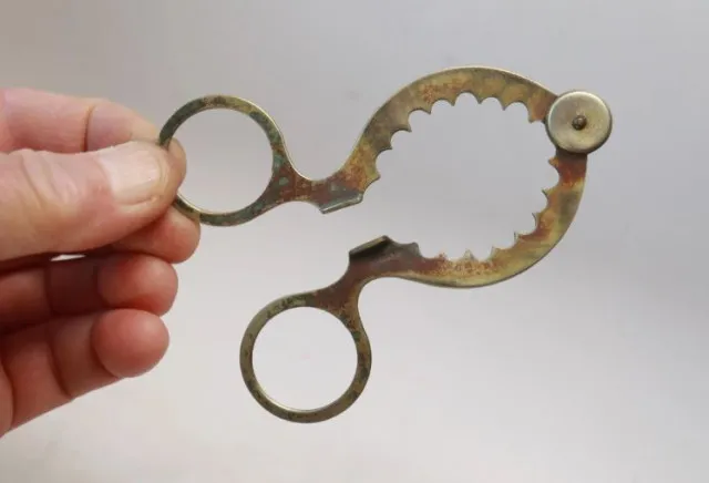 people are just now realizing how to use this odd-looking vintage kitchen t 11462
