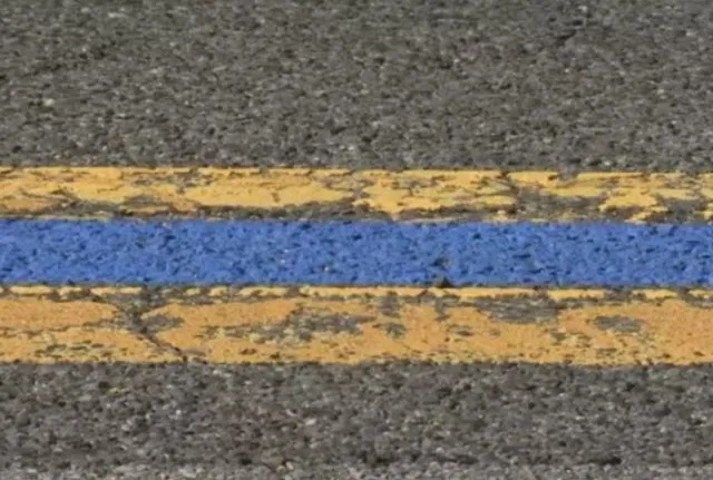 people are just realizing the meaning of the blue line painted on the stree 11427