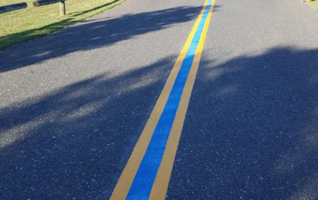 people are just realizing the meaning of the blue line painted on the stree 11426