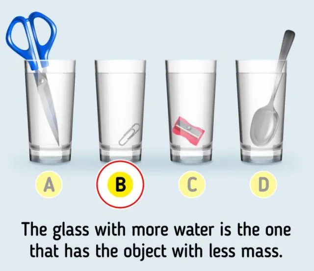 which glass contains the most water? 11419