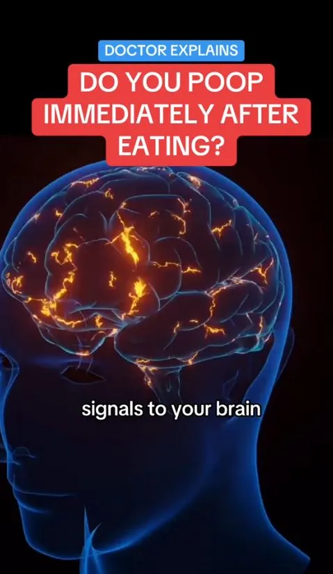 why you might need to poop after eating 11402
