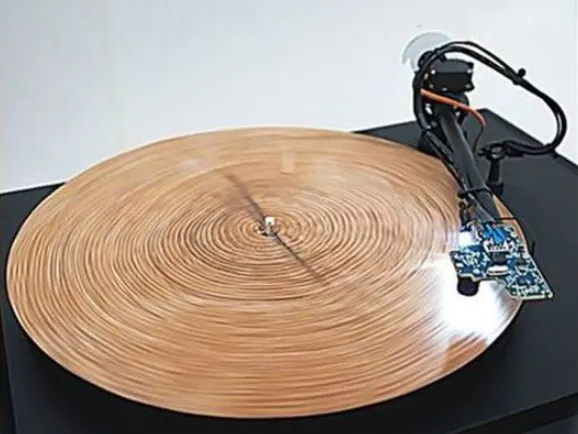 people are just learning tree trunk can produce music from its rings 11549