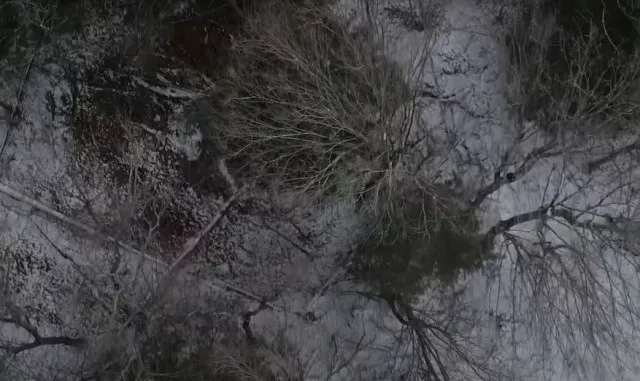 viewer stunned by new drone footage of bigfoot called the best evidence y 11628