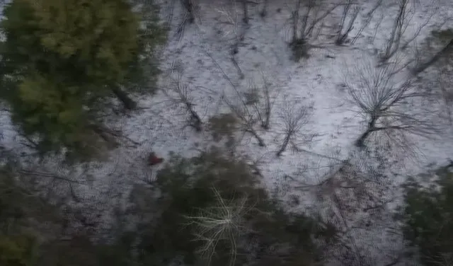 viewer stunned by new drone footage of bigfoot called the best evidence y 11626