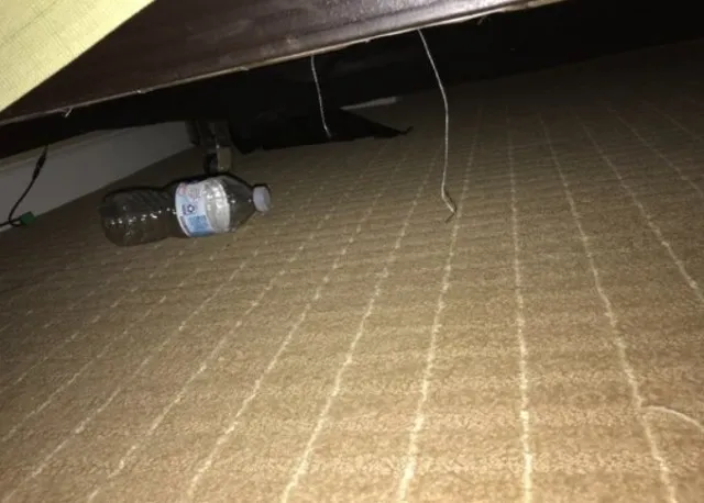 chilling reason why you should throw water bottle under the bed when checki 11798