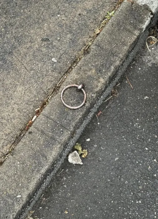 metal eye rings in the sidewalk: what are they used for? 11801