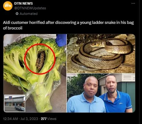customer stunned after finding unbelievable thing in a bag of broccoli 11990