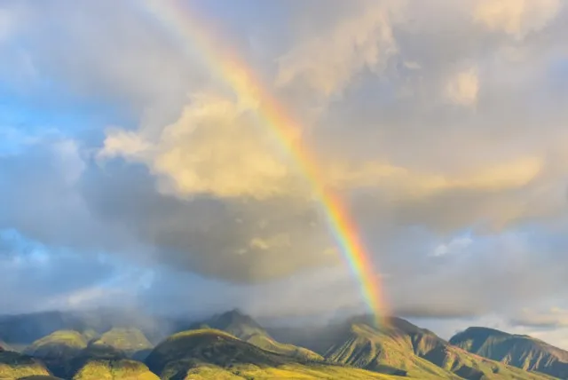how many colors does a rainbow really have? 11961