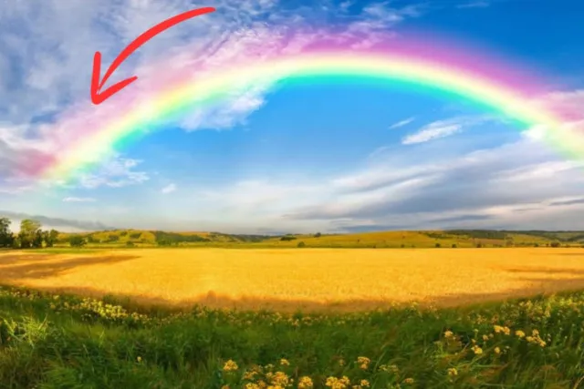 how many colors does a rainbow really have? 11958