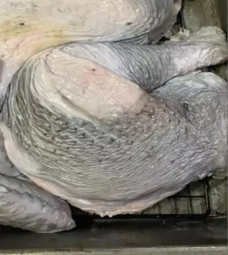 people left in panic after man shares photo of his christmas turkey turning 12011