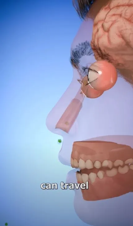 people vow never to pluck nose hair again after gruesome simulation reveals 11952