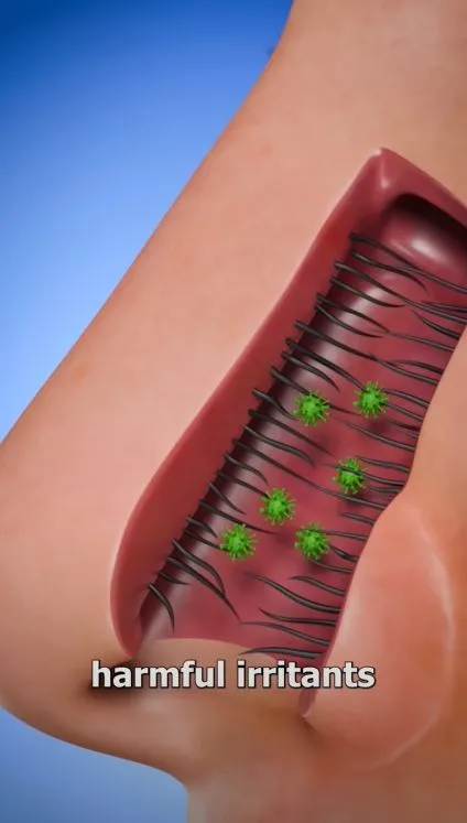 people vow never to pluck nose hair again after gruesome simulation reveals 11955