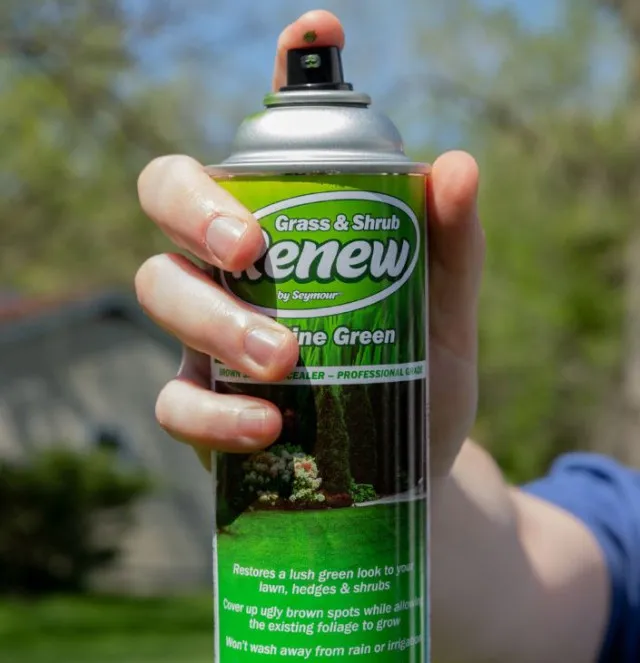 mother reveals her hack for bringing a $5 plant back to life 12101