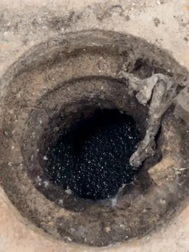 people urged to pour boiling water down drains immediately if they spot the 12048