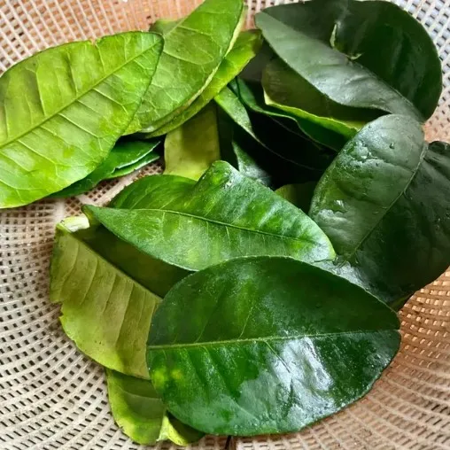 why do some people bathe with grapefruit leaves? 12111