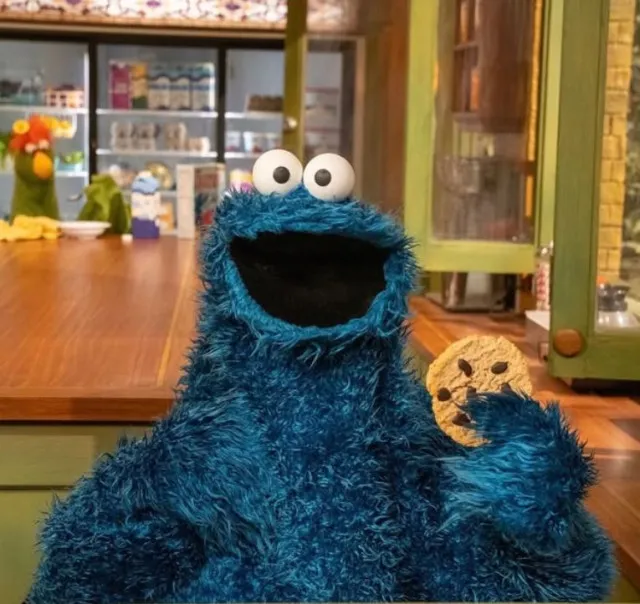 people are just realizing that the cookie monster’s ‘cookies’ arent actual 12548