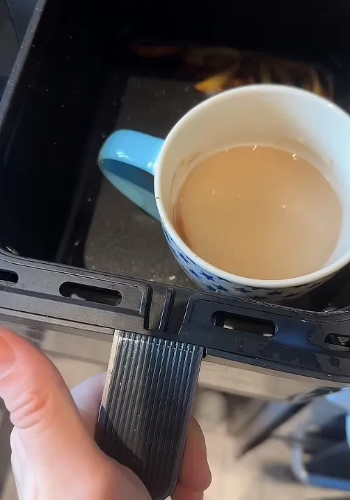 woman leaves people mind-blown after using air fryer to make cup of tea 12568