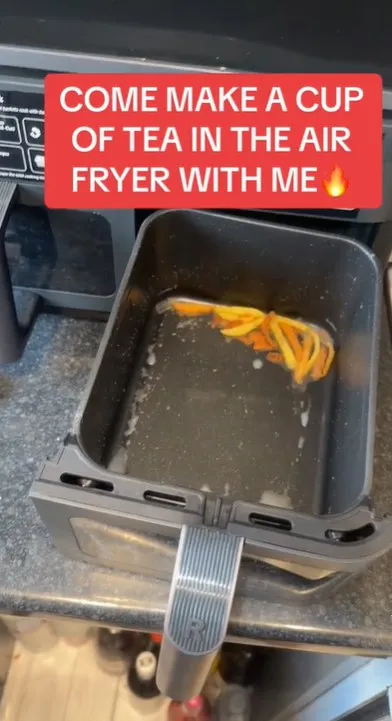 woman leaves people mind-blown after using air fryer to make cup of tea 12569