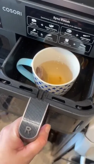 woman leaves people mind-blown after using air fryer to make cup of tea 12566