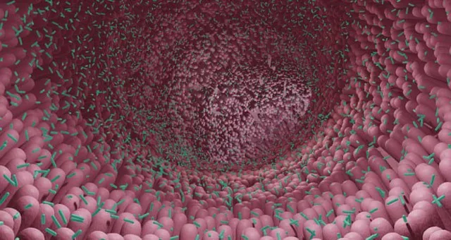 eerie new lifeform are found lurking inside human bodies 12779