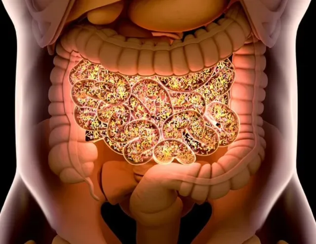 eerie new lifeform are found lurking inside human bodies 12782