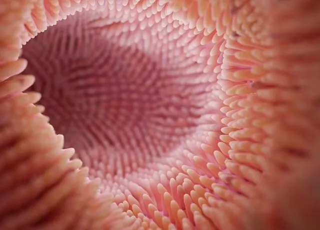 eerie new lifeform are found lurking inside human bodies 12780