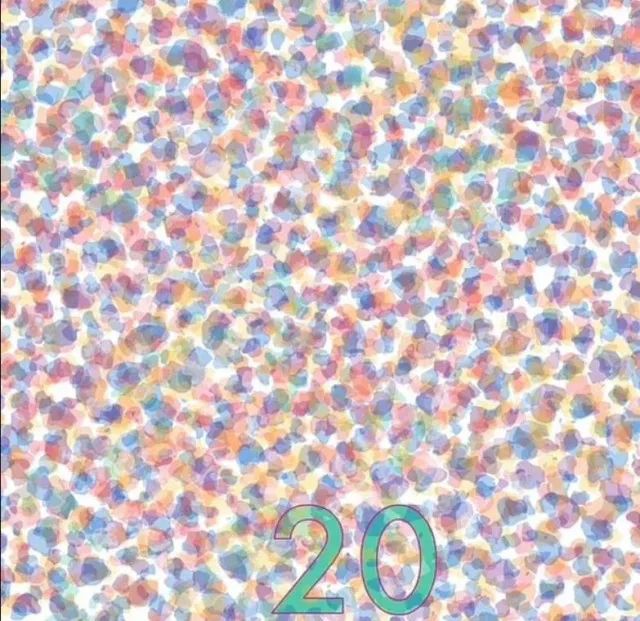 can you spot the number hidden in this optical illusion 13013