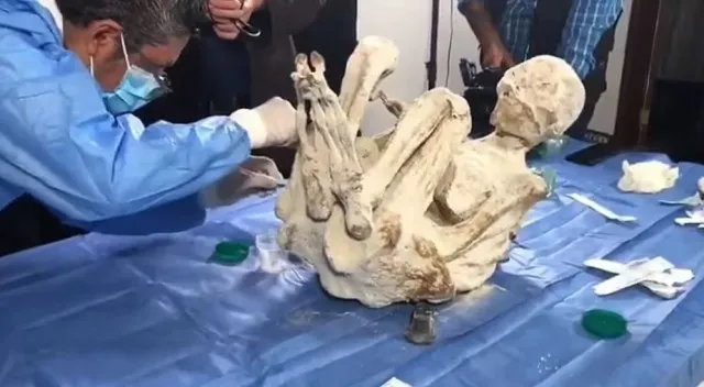 new discovery in alien mummies case ad two more corpses are found 13010