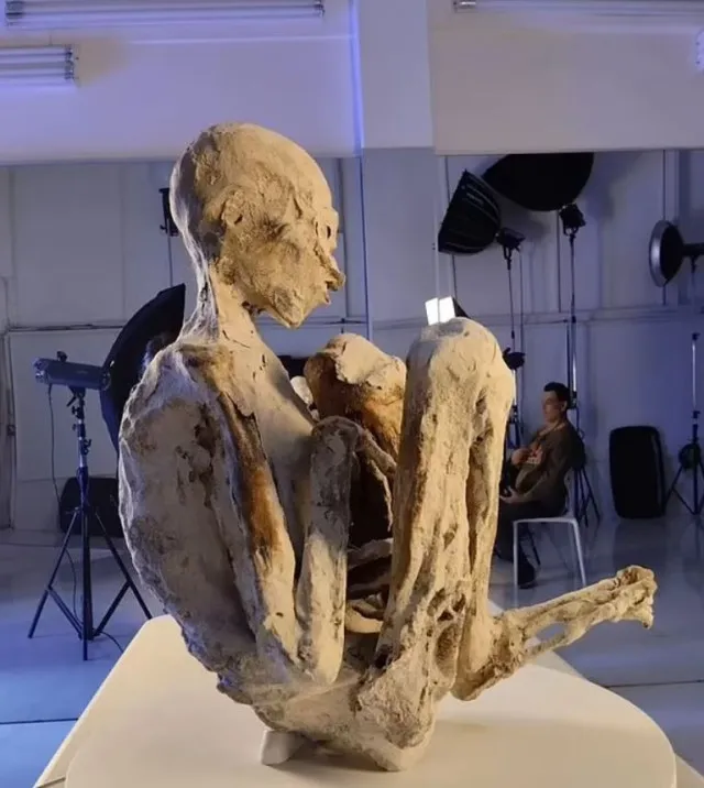 new discovery in alien mummies case ad two more corpses are found 13008