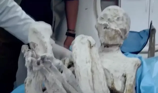 new discovery in alien mummies case ad two more corpses are found 13006