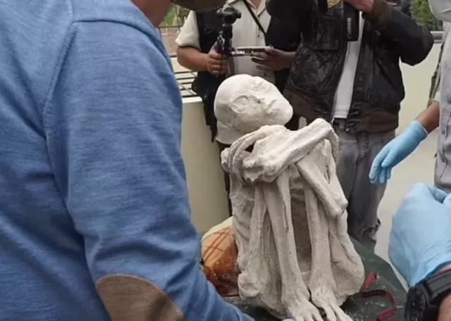 new discovery in alien mummies case ad two more corpses are found 13009