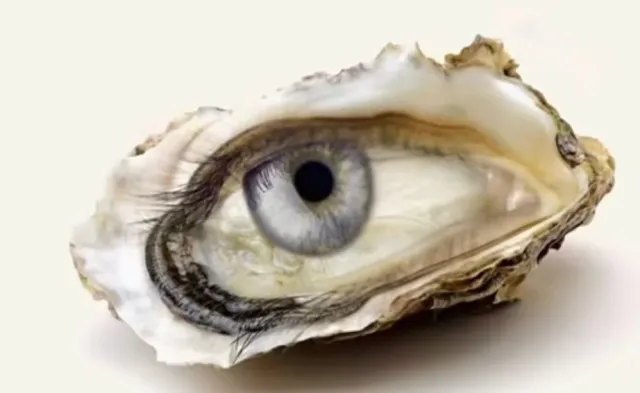 optical illusion reveals if youre in for good luck or a challenging year 13117