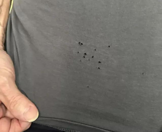 why tiny holes keep appearing on t-shirts 13111