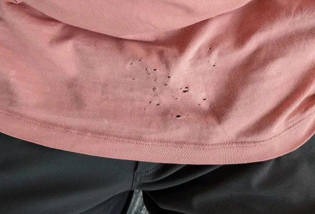 why tiny holes keep appearing on t-shirts 13109