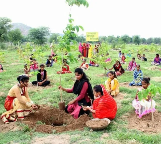 village where plants 111 trees for each girl born now creates a thriving fo 13318