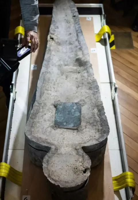 archaeologists stunned after discovering ancient disease in egyptian mummy 13347