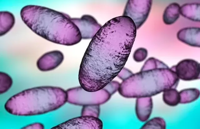 archaeologists stunned after discovering ancient disease in egyptian mummy 13349