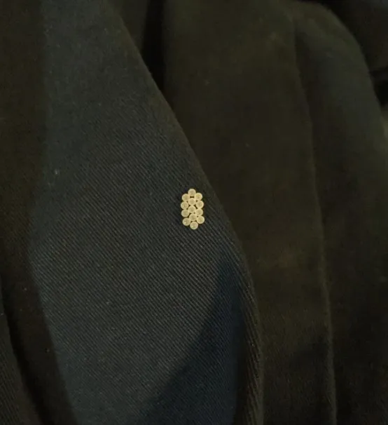 what are those little circles that appear when we hang clothes outside? 13394