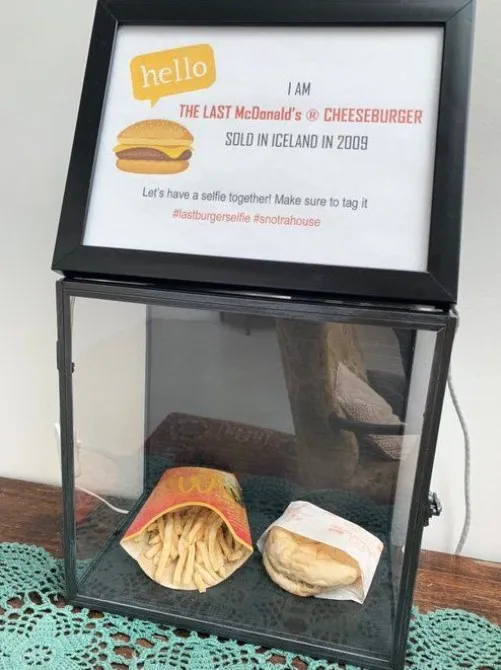 burger from iceland’s mcdonald’s 2009 menu remarkably remains mold-free eve 13562