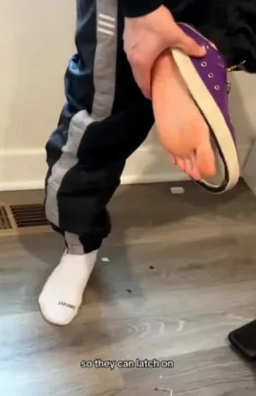 couple sparks debate after cutting out soles of $20k shoes collection to wa 13578
