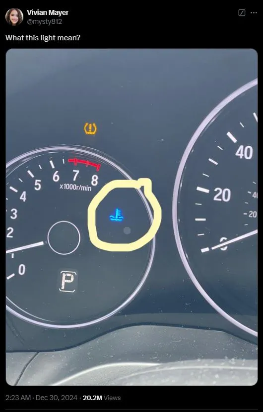 drivers are just realizing what the dashboard symbol that looks like a boa 13620