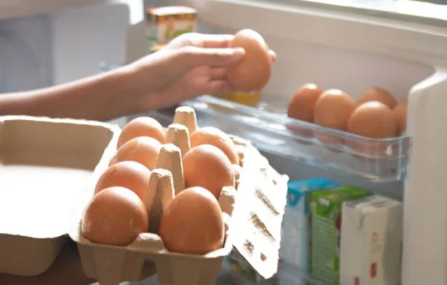 people are just realizing reasons why they should never store eggs in fridg 13636