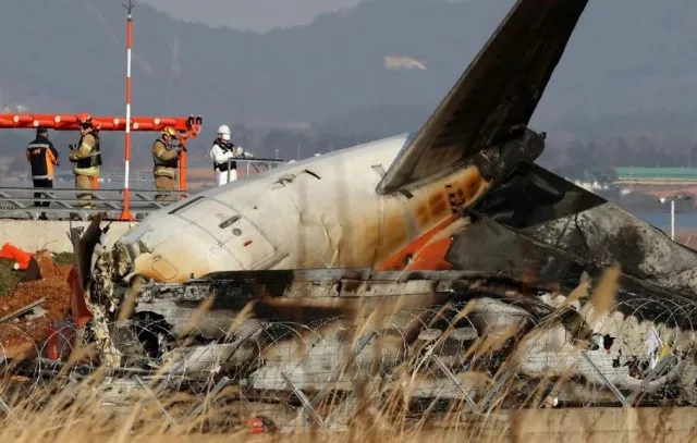 viewers say the same thing after footage shows plane landing without wheels 13659
