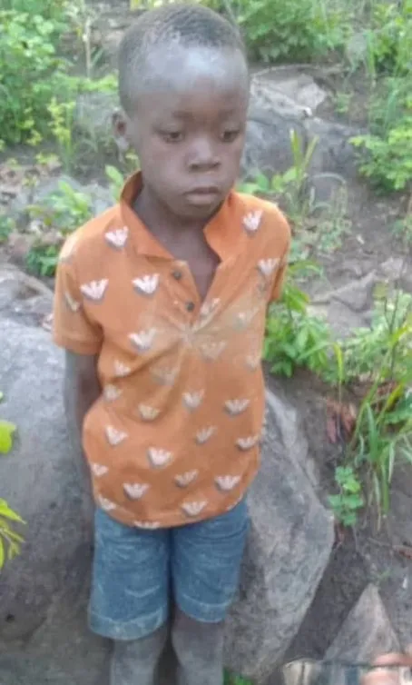 eight-year-old boy stays alive for five days among 40 lions after practicin 13726